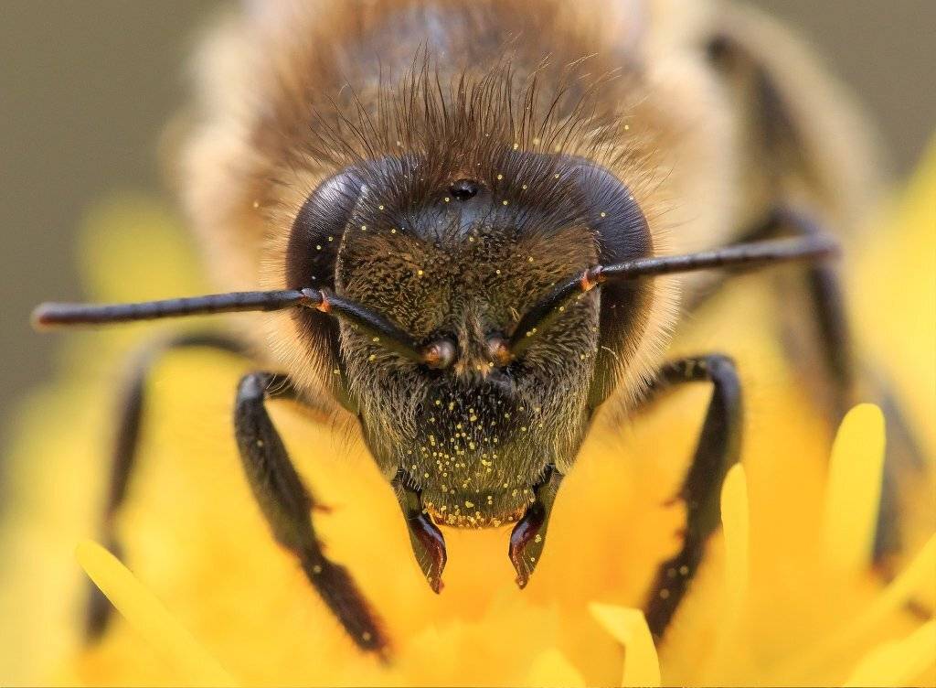 , Валерия Зверева