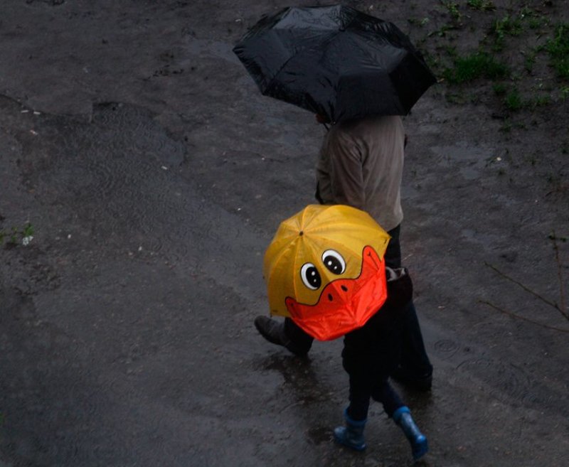 дождь от улыбки хмурый день светлей :) фото превью