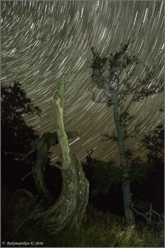 Борьба за жизнь!