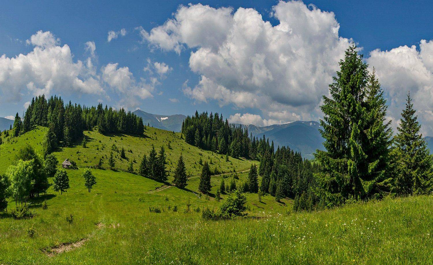 , Валерий Наумов