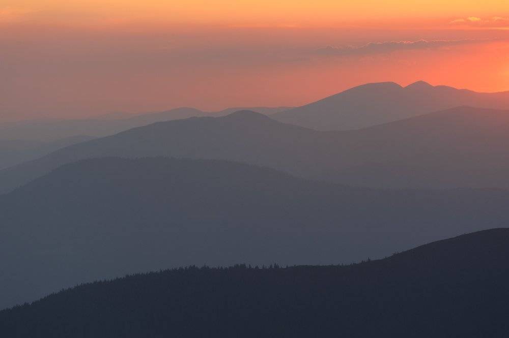 Карпаты, Артур Козлов
