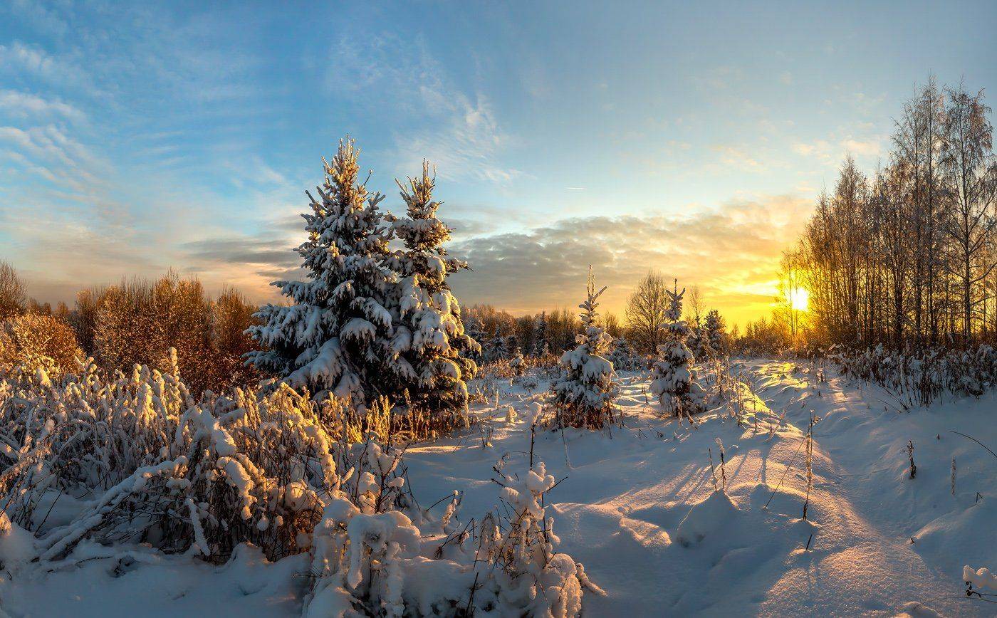 зима, иней, снег, закат, ель., Лашков Фёдор