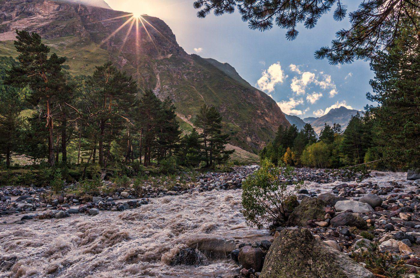 , Игорь Мелекесцев