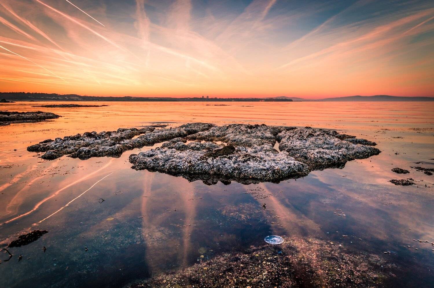 trails, sea, rock, seascape, sunset, jellyfish, Jeni Madjarova