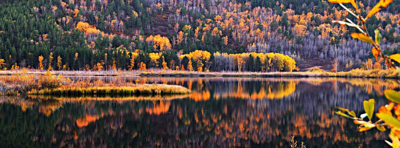Казахстан. Каркаралинск. озеро.  фото превью