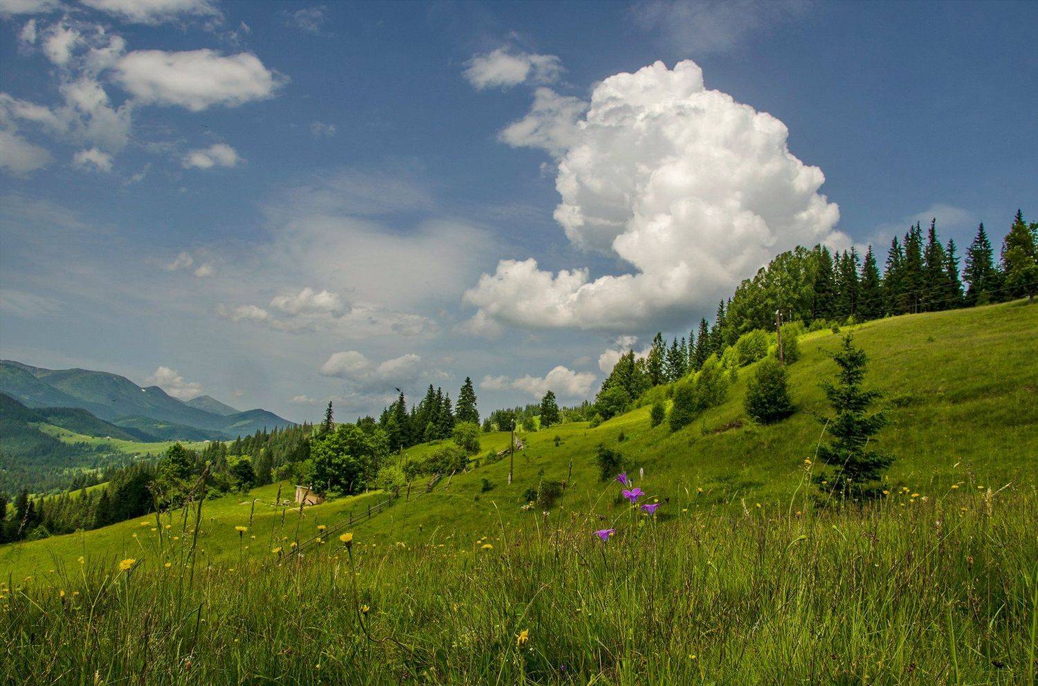 , Валерий Наумов