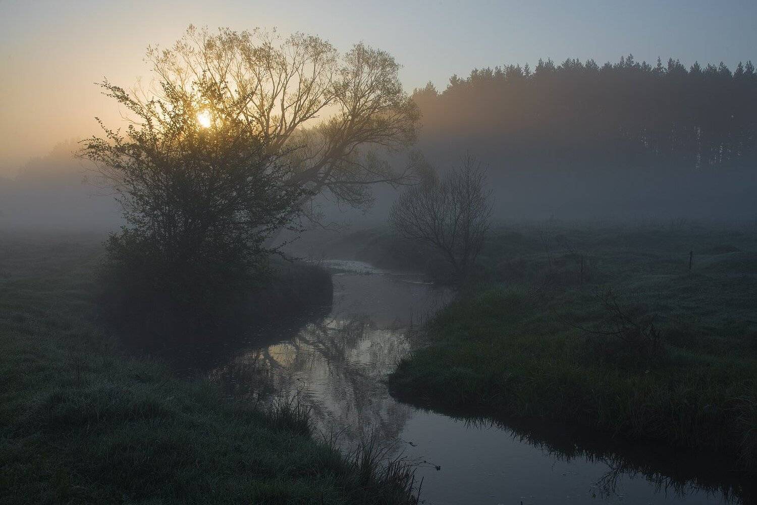 Апрель, Берег, Берега, Весна, Вода, Дерево, Отражения, Рассвет, Река, Ручей, Солнечное утро, Трава, Туман, Утро, Сергей Добровольский