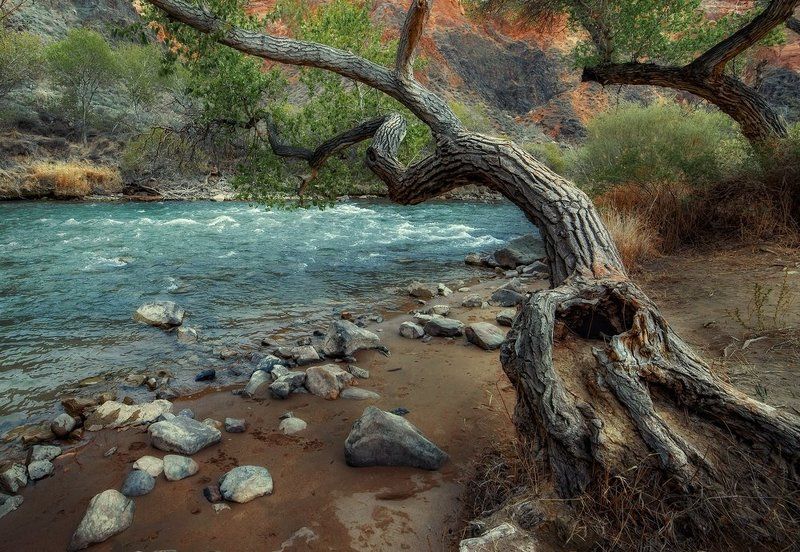 Горная речка фото превью