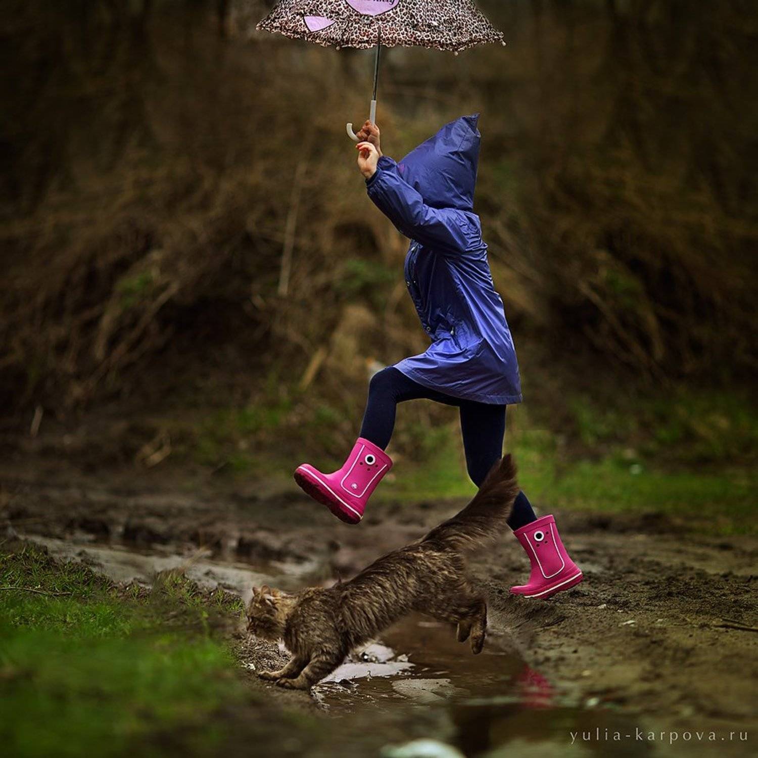 child, childhood, kid, cat, Юлия Карпова