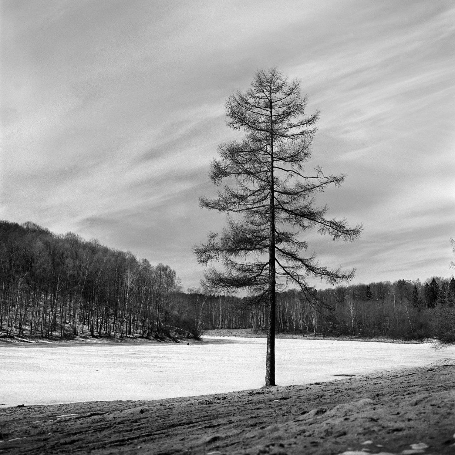 Весна., Пейзаж., Река., Александр Резников