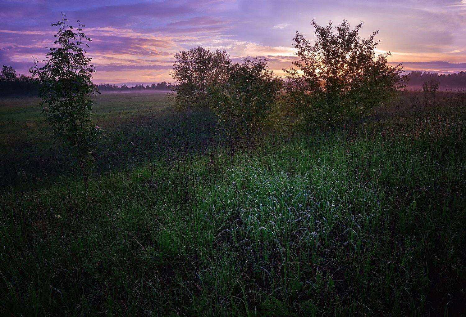 nikon d600, вечер, закат, лето, пейзаж, природа, Алексей Никонов