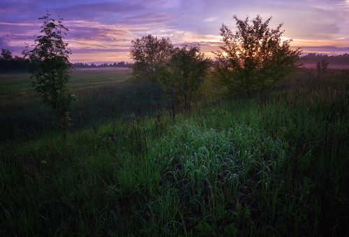 Воcпоминания о лете