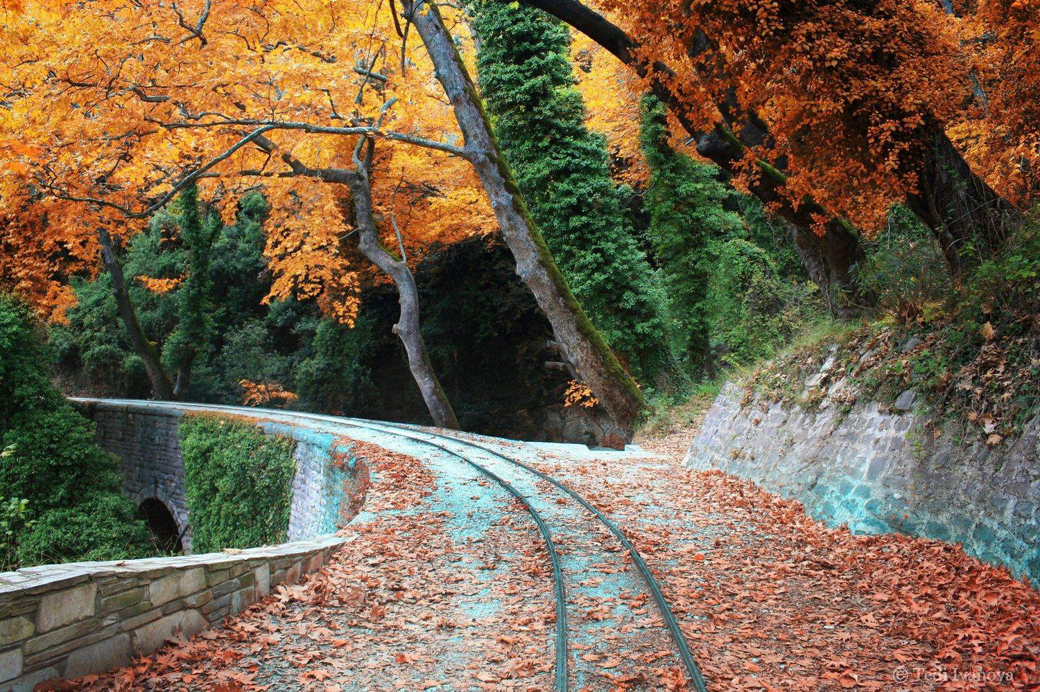 landscape, autumn,, Teodora Ivanova