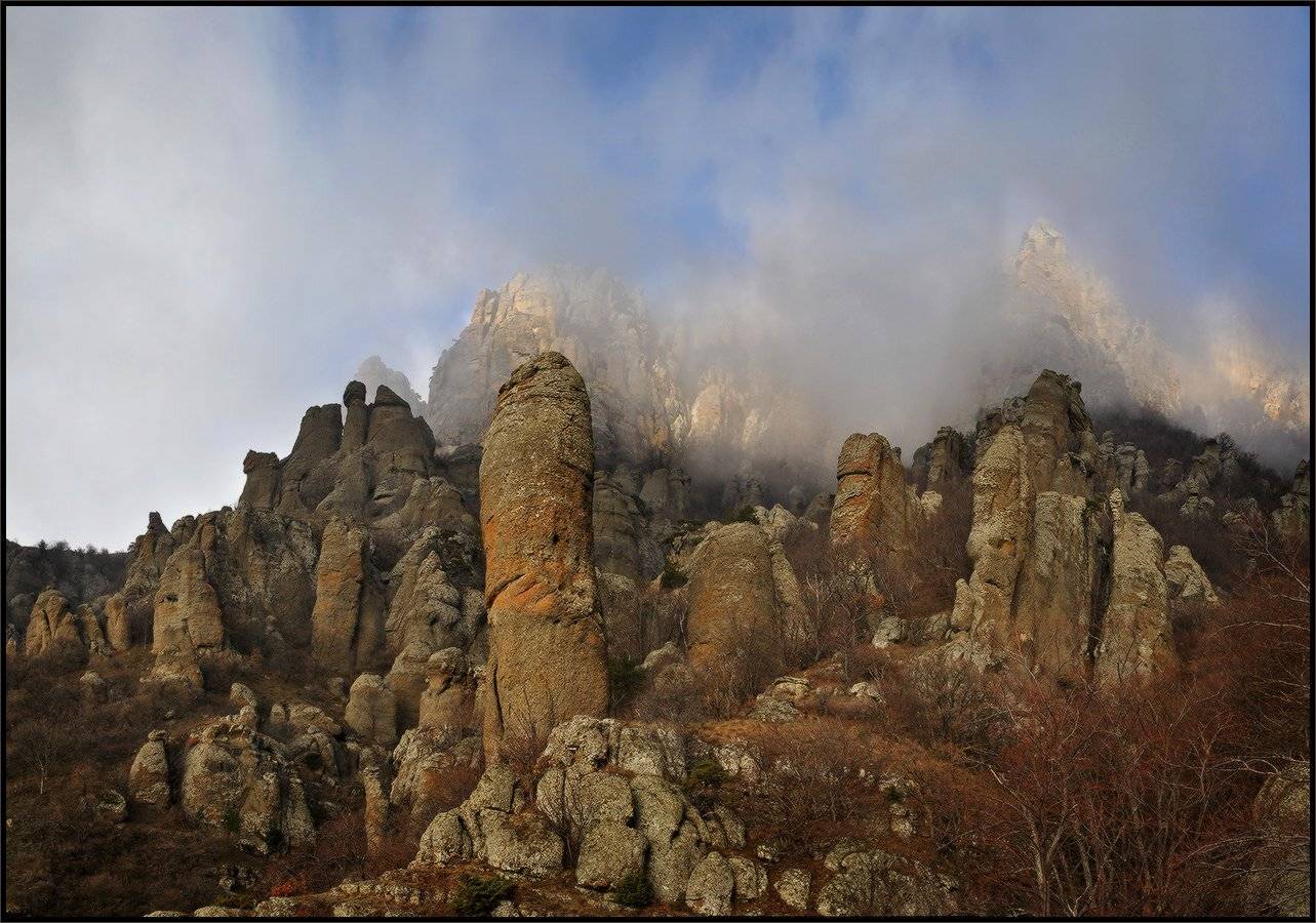 , Владимир Метцгер