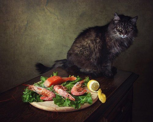 Железная воля