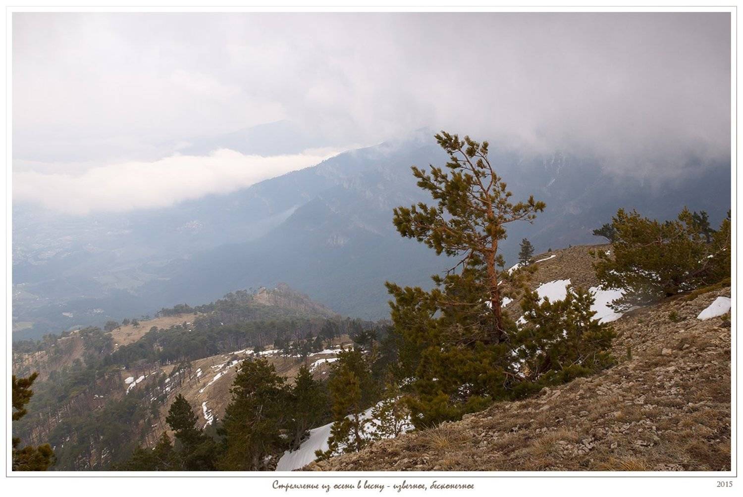Анатолий покровский, Горы, Крым, Облака, Сосна, Ялта, Ялтинская яйла, Анатолий Покровский