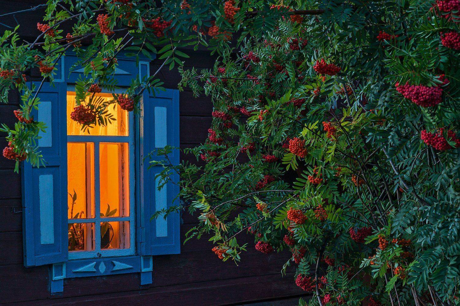 Altai, Алтай, Алтайский край, Деревня, Наличники, Окно, Сибирь, Ставни, Павел Филатов