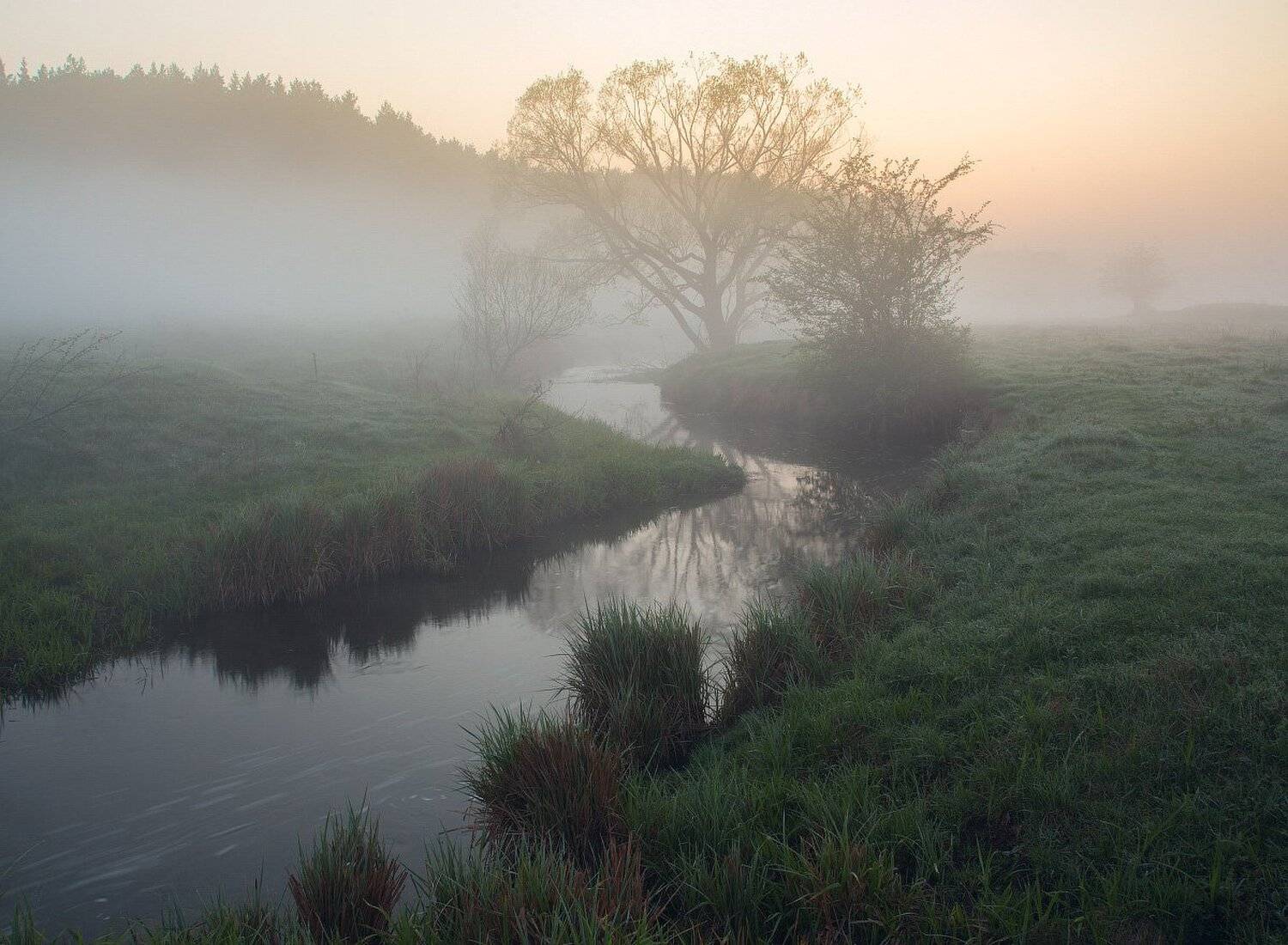 Апрель, Берег, Берега, Весна, Дерево, Деревья, Рассвет, Река, Ручей, Туман, Утро, Сергей Добровольский