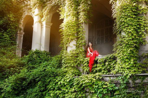 Тропический цветок