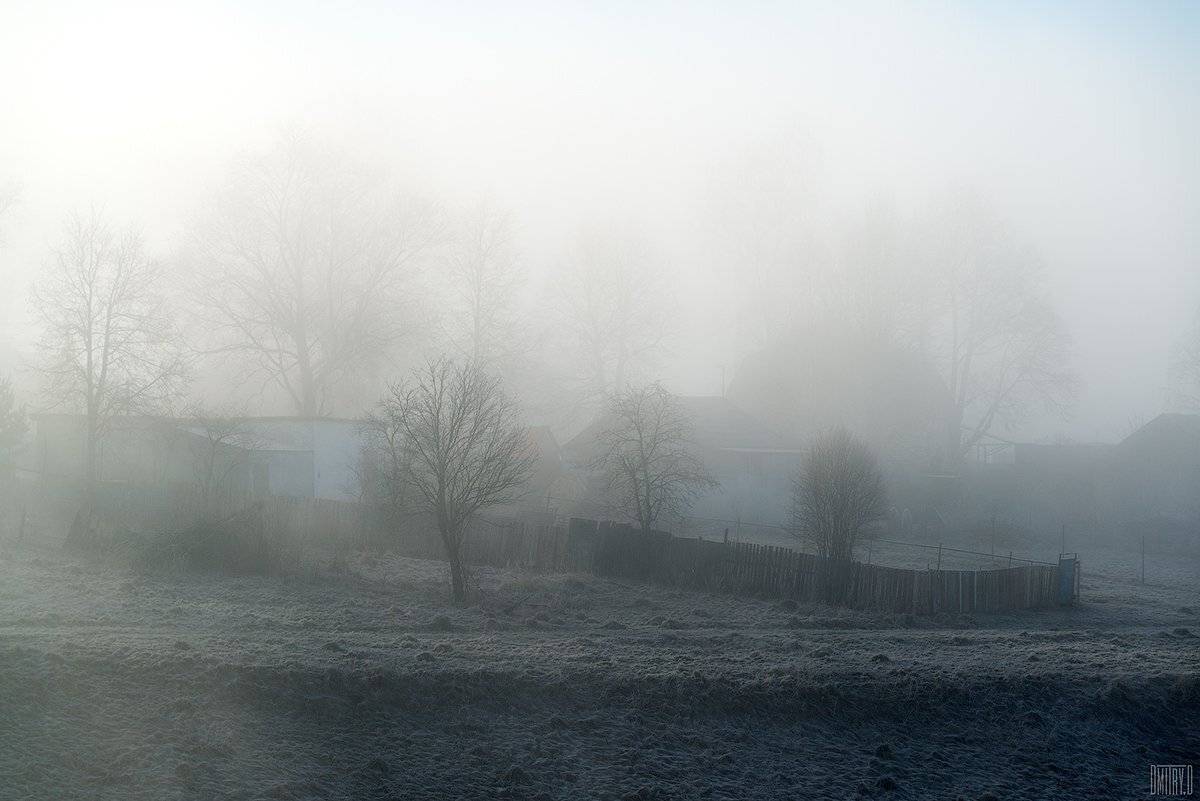 , Дмитрий Доронин