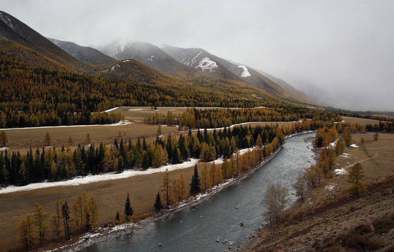 , Дмитрий Д.