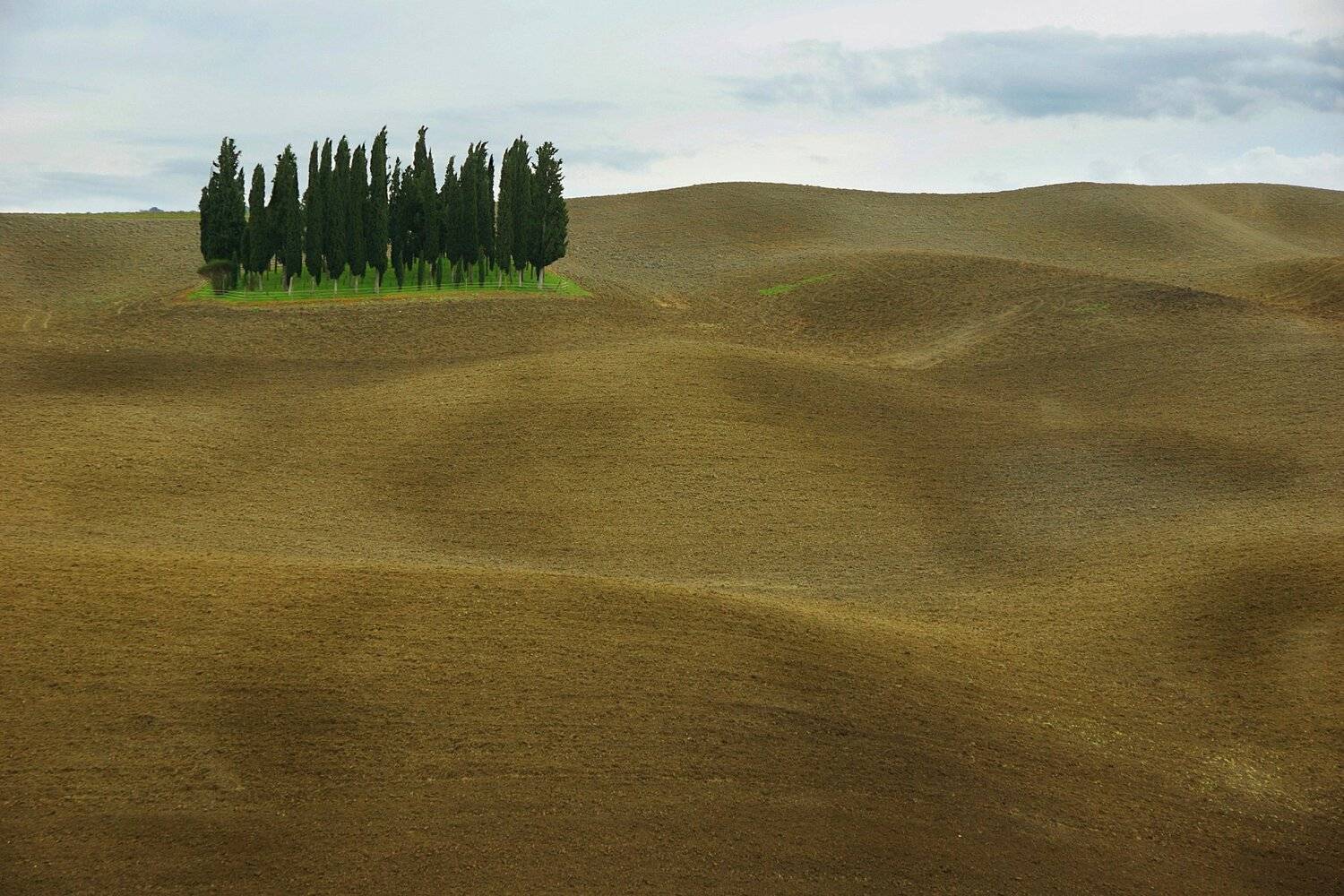 , Петр Косых