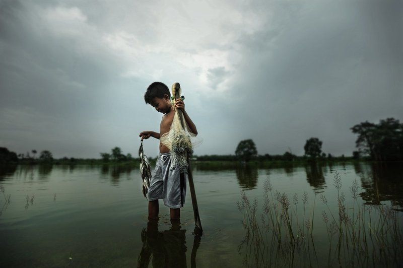 Human фото превью