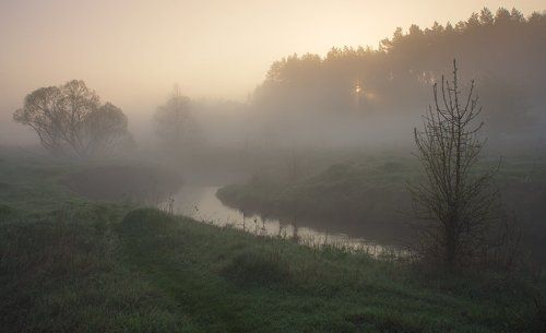 Свет в тумане....