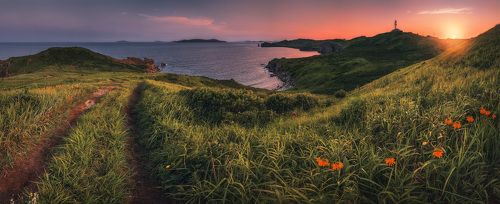 Воспоминая о прошлогоднем лете...