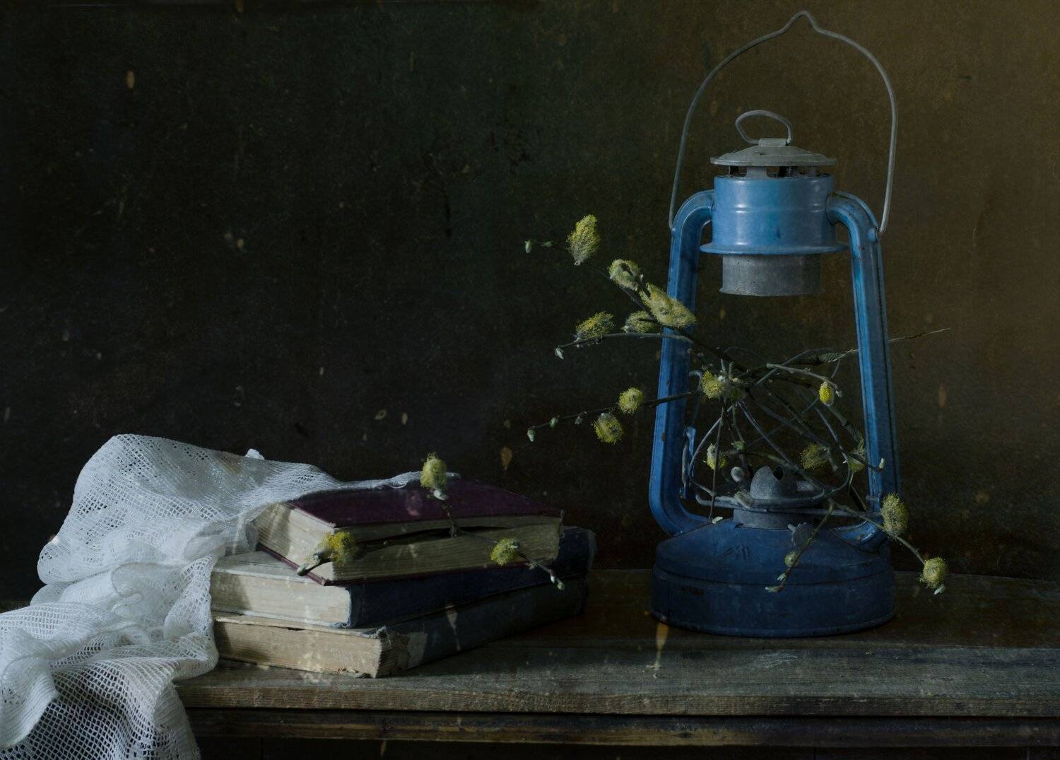 , Синегубова Ольга