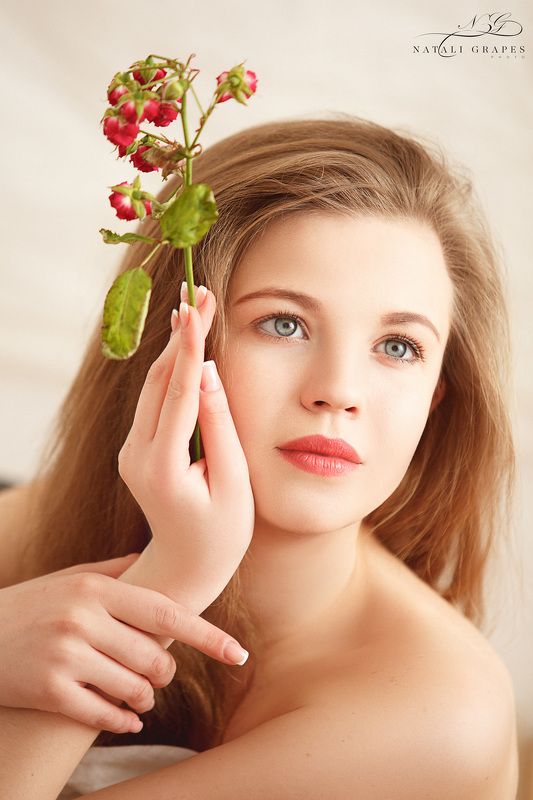 Roses фото превью