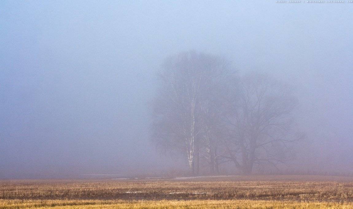 , Алексей Лобанов