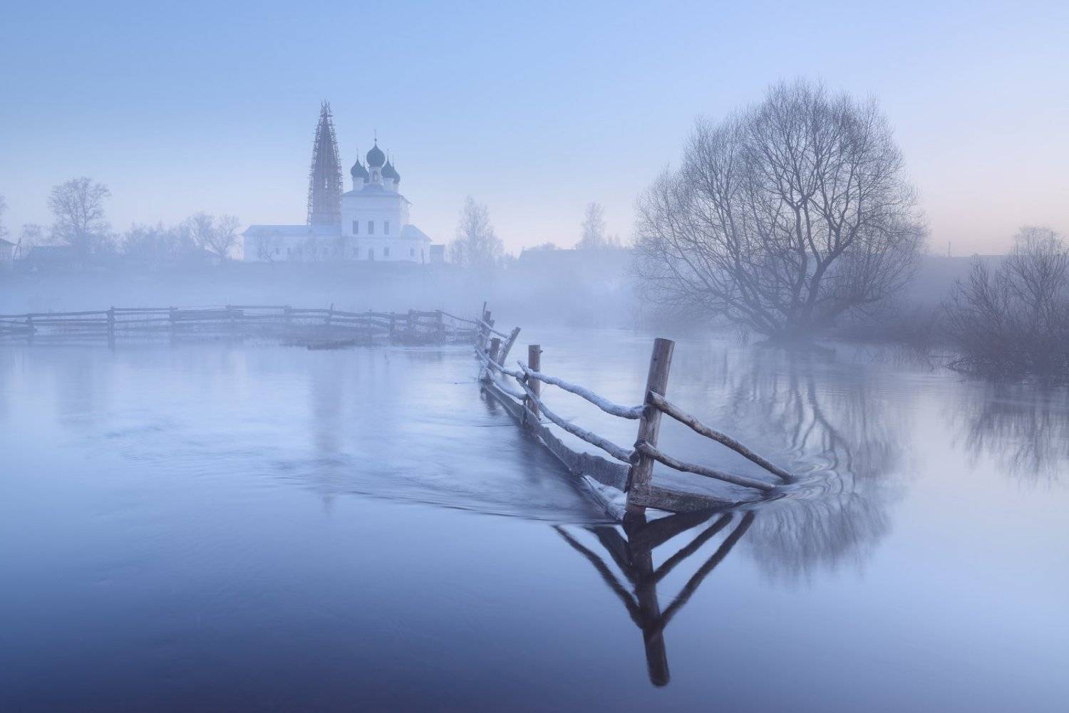 , Максим Евдокимов ( www.wildphotorus.ru )