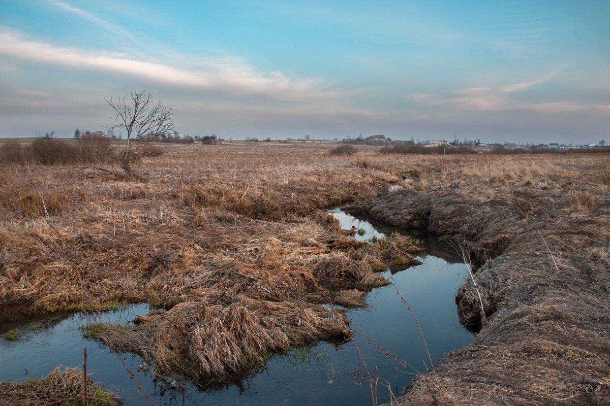 полевой ручей, ручей, Сухиничи, Алнеры, Александр