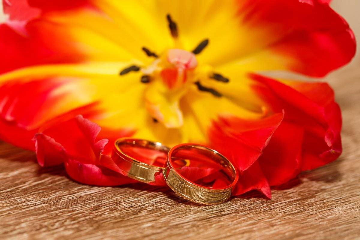 , Михаил Маслов