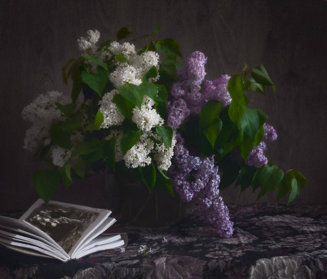 , Елена Брежицкая