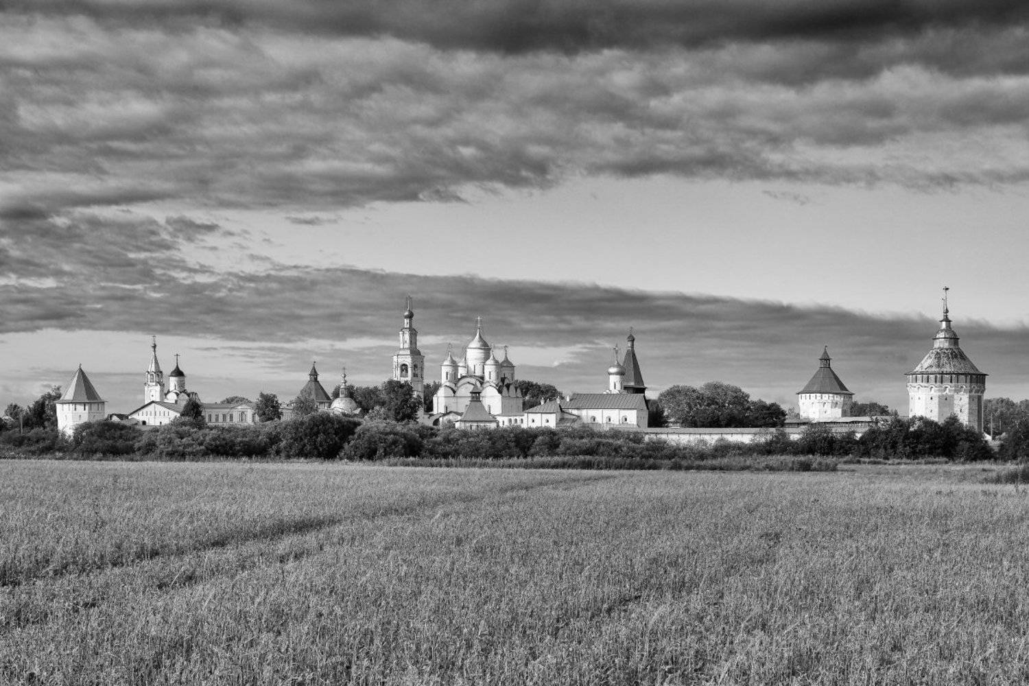 вологда, монастырь, лето, поле, облака, башня, церковь, храм, Анатолий Тимофеев