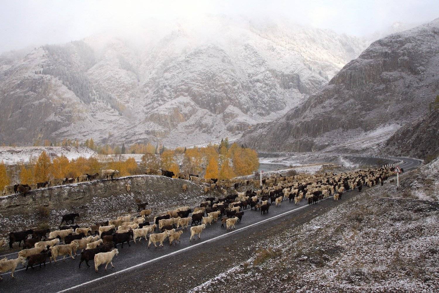 , Рудик Валерий