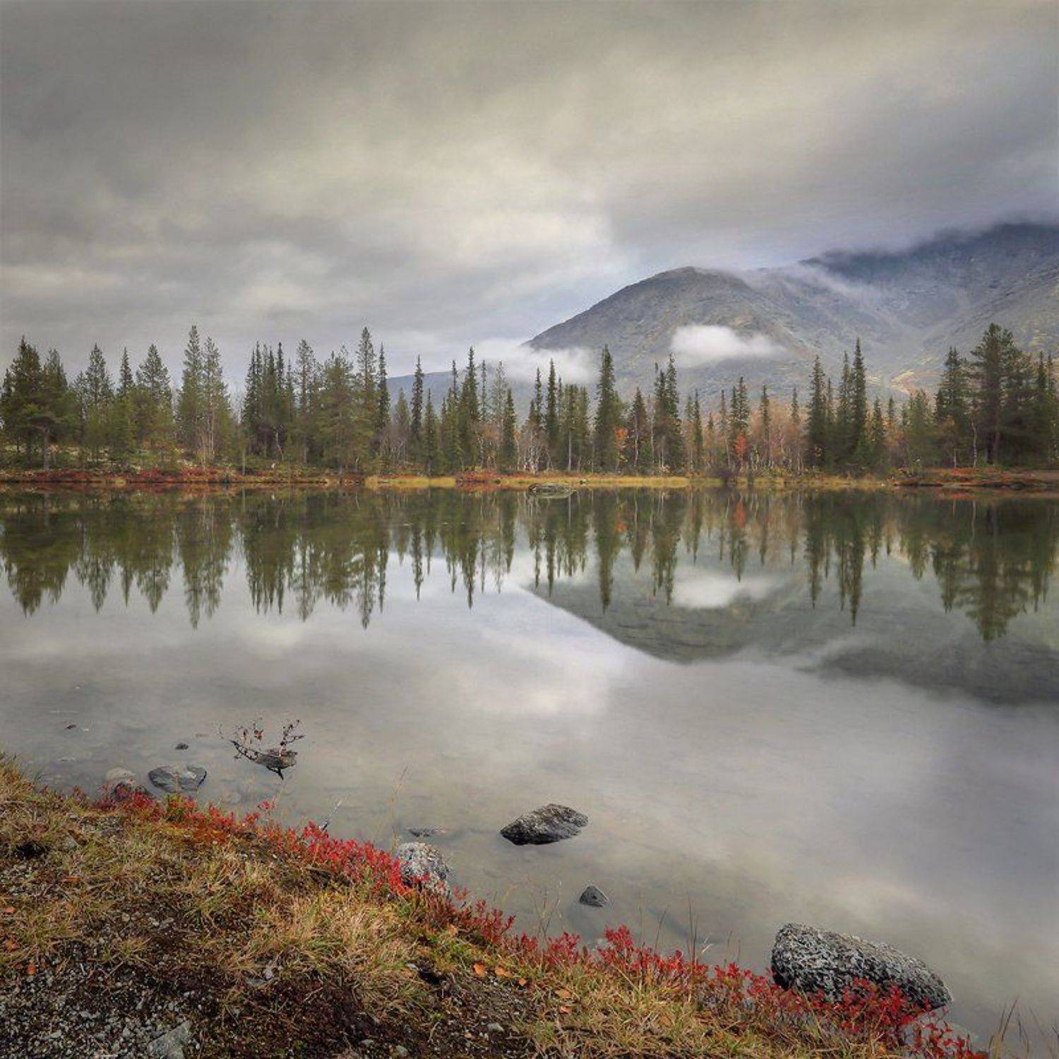 пейзаж, туман, горы, Хибины, Мурманская область, Кольский полуостров, Заполярье, Александр Бархатов