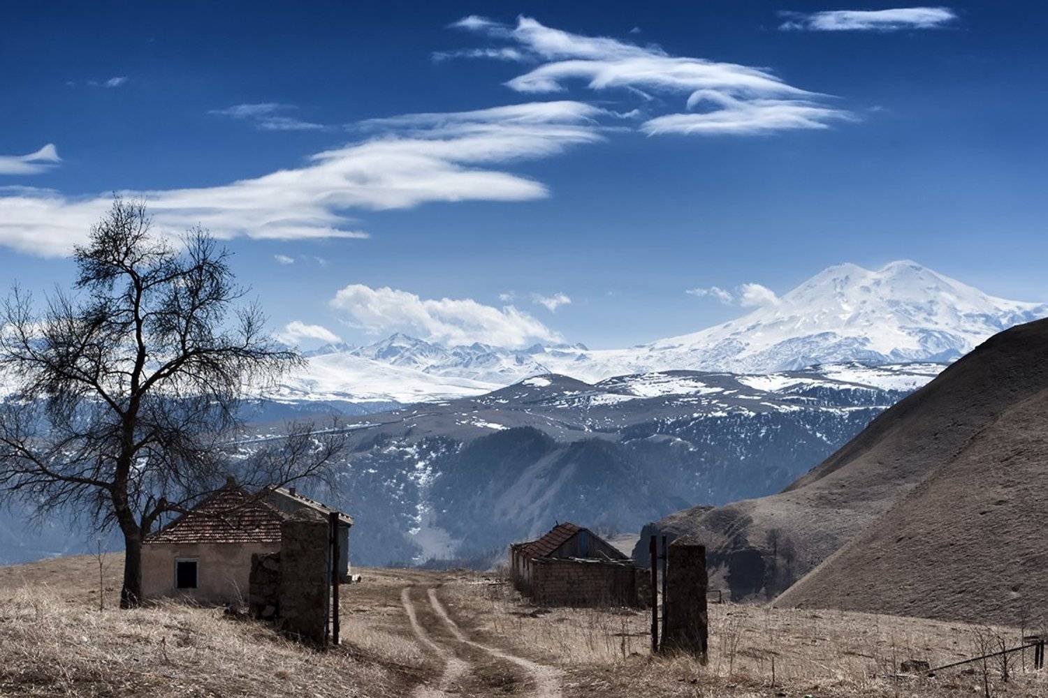 , Дмитрий Виноградов