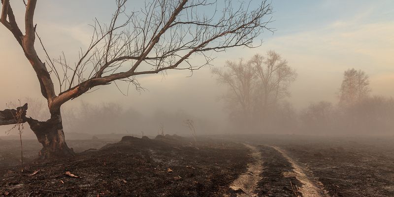 Не дожив до тёплых дней фото превью