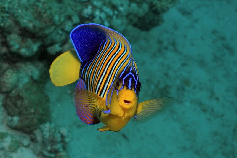 Ой..... фото превью