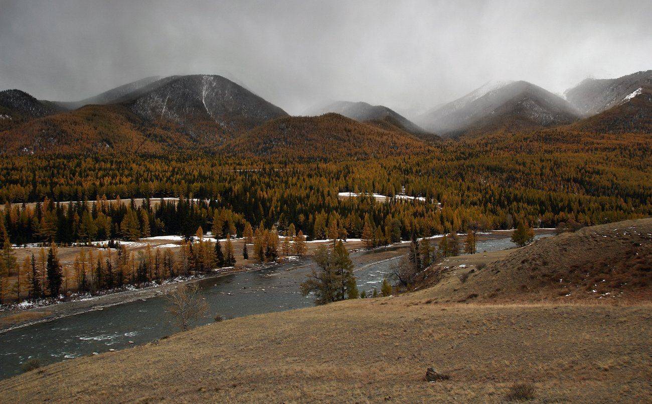 , Дмитрий Д.