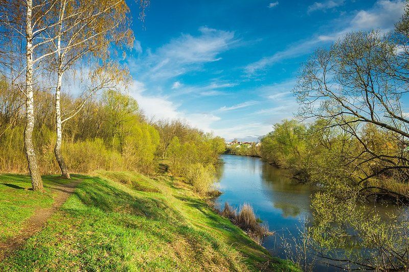 река, весна, апрель, вечер, river, green, trees, sky Апрельская зелень фото превью
