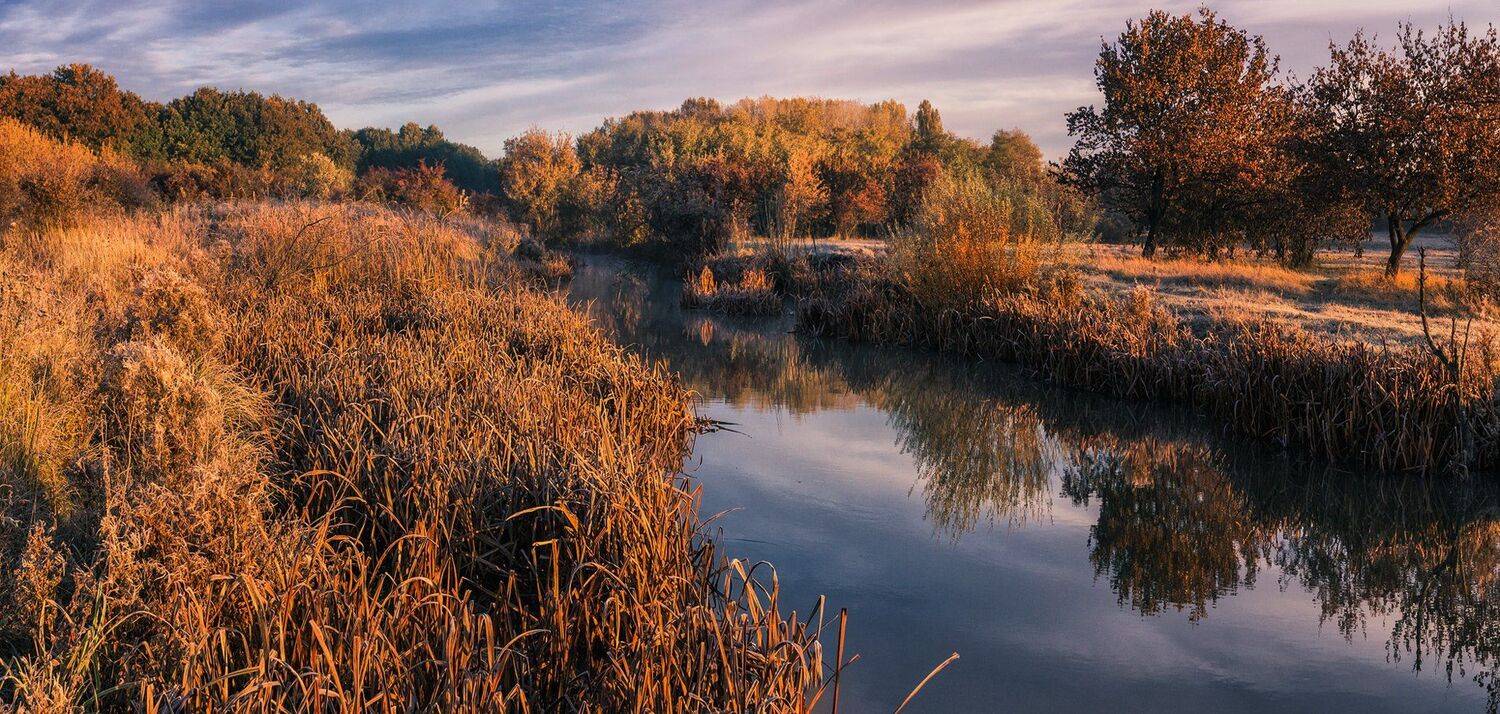 , Игорь Мелекесцев