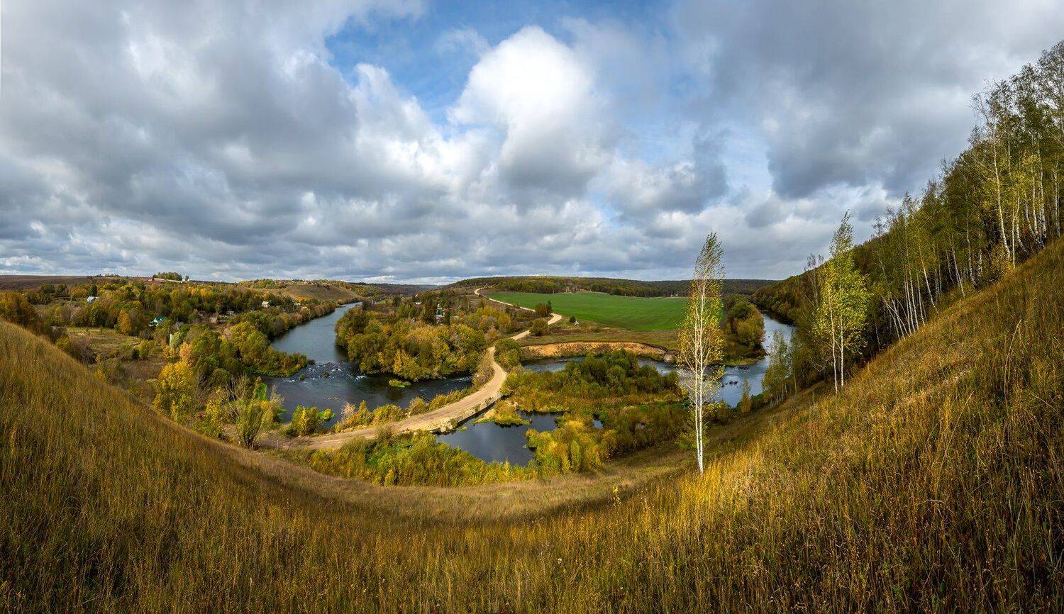 осен, река, дорога, берёзы, , Лашков Фёдор