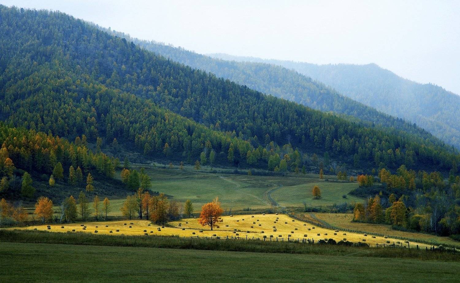 , Рудик Валерий
