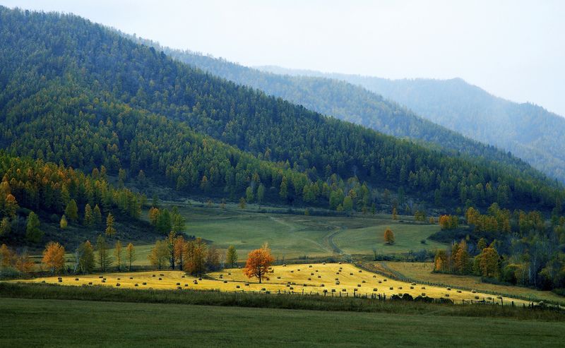 Осенний островок фото превью