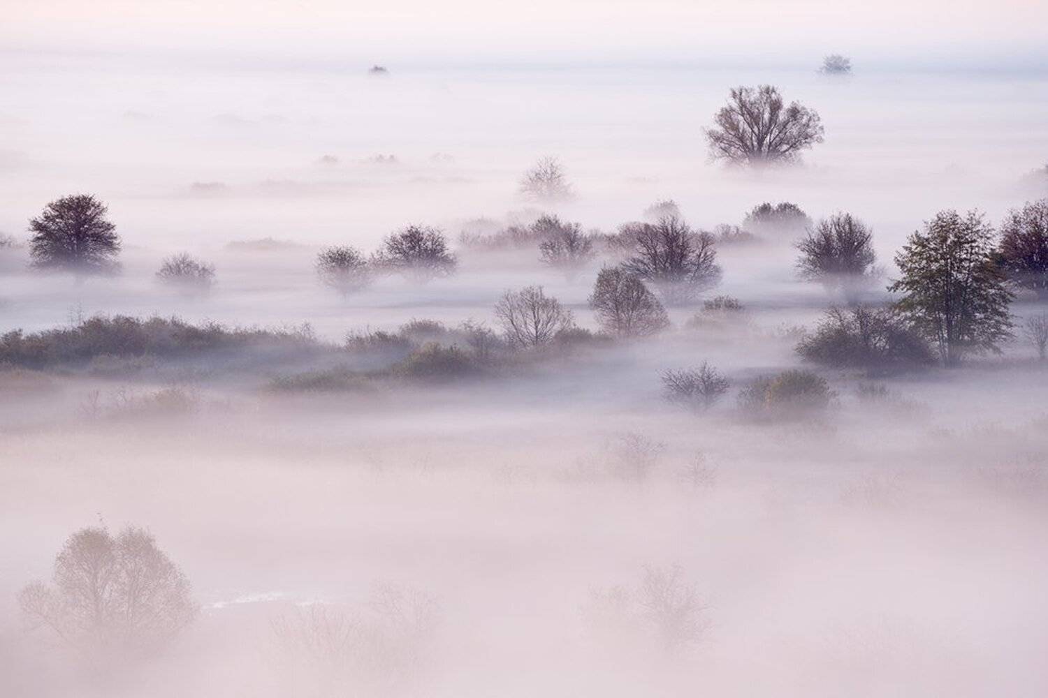 , Юрий Сорокин