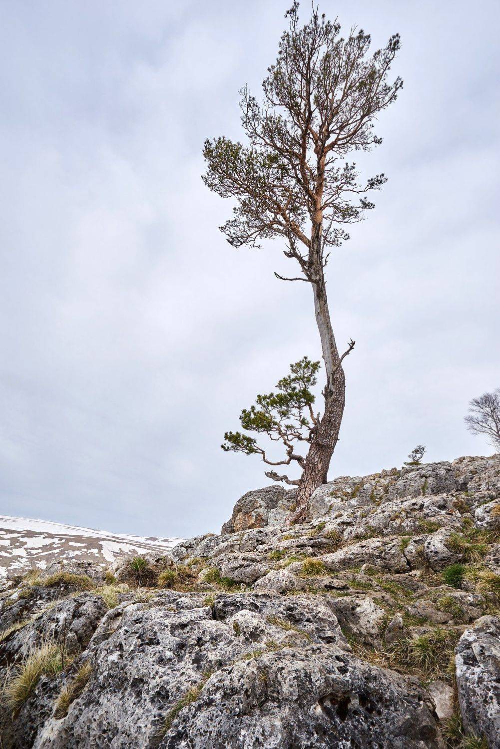 , Валерий Касмасов